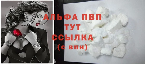 ПСИЛОЦИБИНОВЫЕ ГРИБЫ Инта