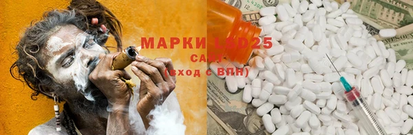 ПСИЛОЦИБИНОВЫЕ ГРИБЫ Инта