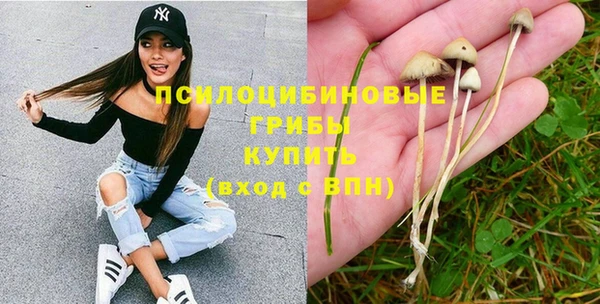альфа пвп Инсар