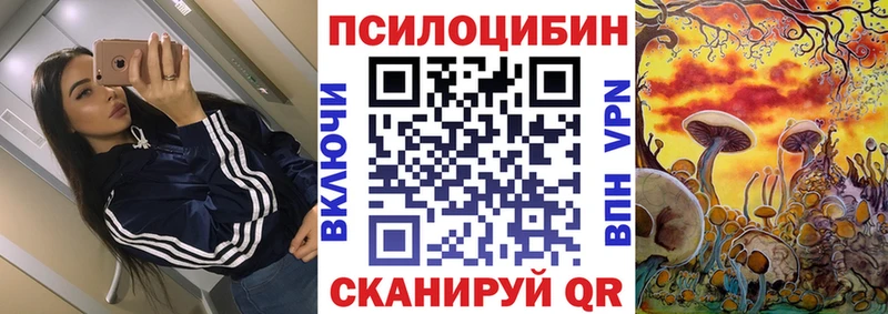 Купить где  Райчихинск  Галлюциногенные грибы GOLDEN TEACHER 