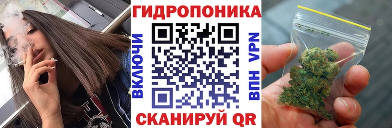 Канабис сатива Райчихинск